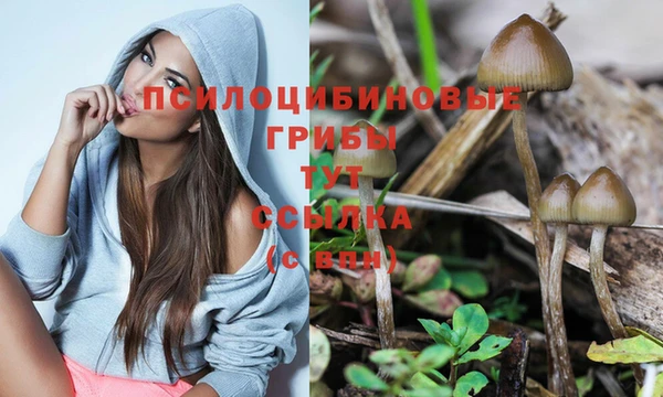 сатива Горнозаводск