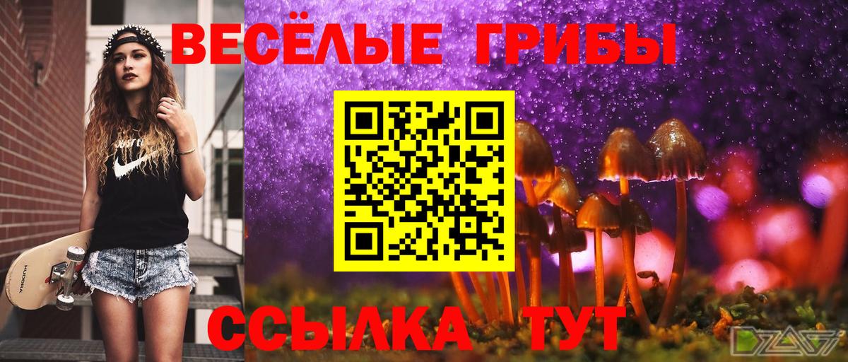 Псилоцибиновые грибы MAGIC MUSHROOMS  Галлюциногенные грибы Magic Shrooms  Вход с VPN  Богородск 